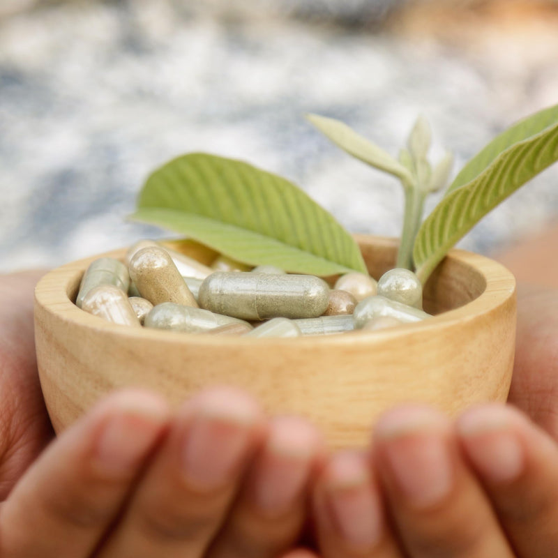 [Australia] - Nature drugstore - Sage capsules 90 pieces - Sage for menopause - Natural sage leaf powder - Relieve the symptoms of menopause - Can be opened for tea or fruit juices 