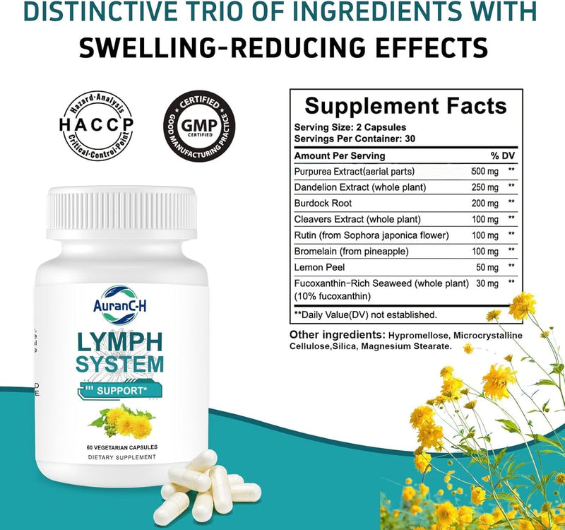 Lymph System Support Supplement – Lymphatic Drainage Supplement with Dandelion Extract, Cleavers, Burdock Powder and Cleanse Lymph Hair/Skin/Nails Supplements Dietary Healthcare 60 Count