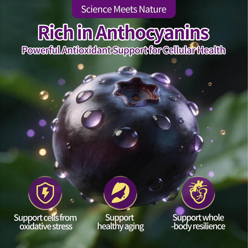 Organic Black Elderberry Capsules,Support Immune & Digestive Wellness | 3-in-1 Gut Support Complex with Zinc & Vitamin C,Non-GMO,Gluten Free,90 Capsules