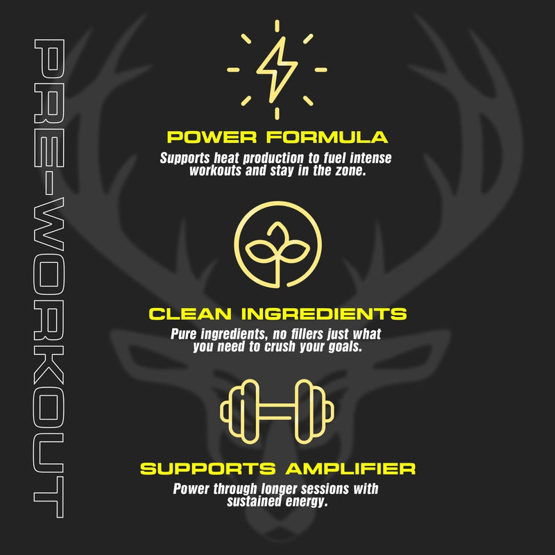 Bucked Up LFG Burn Pre-Workout Powder | Supports Energy & Endurance | Sugar Free | No Proprietary Blends | Tropical Flavour | 40 Servings