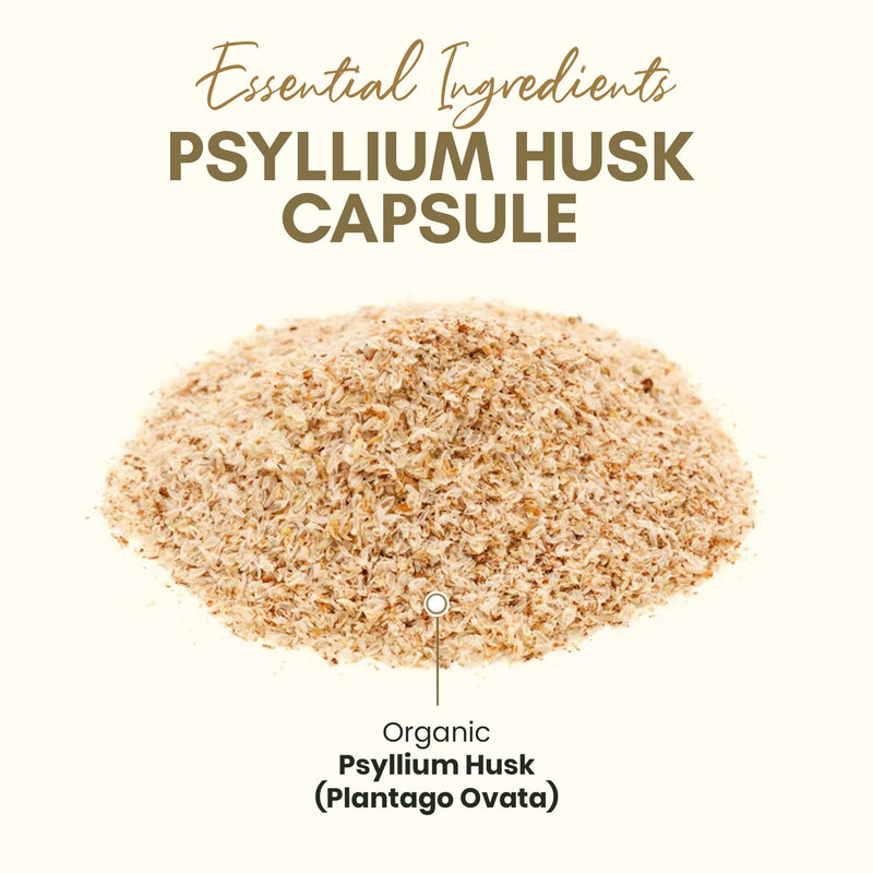 [Australia] - Psyllium Husk Capsules, All-Natural Fiber Supplement, Alternative to Psyllium Husk Powder, Psyllium Husk Capsules for Gut Health* 