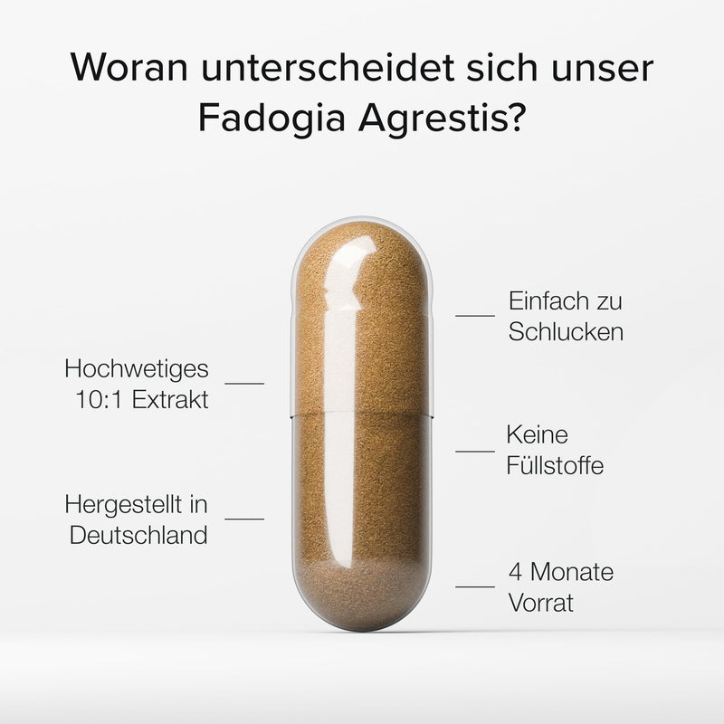 [Australia] - Maxedoutlabs - Fadogia Agrestis - (6000mg Fadogia - 10:1 formula) - 3 month supply - 600mg per capsule - One capsule per day - High dosage - Vegan | Alternative to Tongkat Ali capsules or Turkesterone 