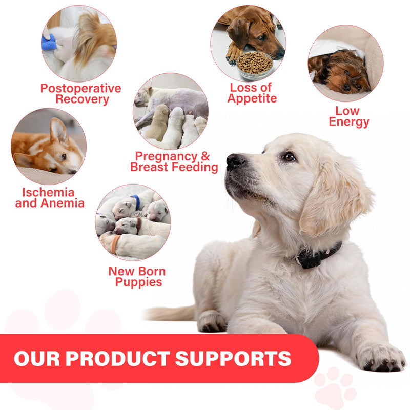 Iron Supplement for Dogs, – Supports Blood Health, Red Blood Cell Formation & Oxygen Supply, for Anemia, Vitamin C, Folate, Vitamin B12, Boost Energy, and Improve Blood Circulation, 120 Tablets