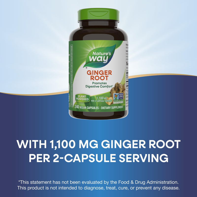 [Australia] - Nature's Way Ginger Root, Promotes Digestive Comfort*, 1,100 mg Per 2-capsule Serving, Non-GMO Project Verified, Vegan, 240 Capsules (Packaging May Vary) 240 Count (Pack of 1) Herbal Supplement 