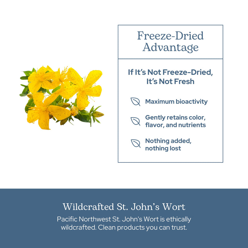 [Australia] - Eclectic Institute Raw Fresh Freeze-Dried Non-GMO St. John's Wort | Herbal Health Supplement, Promotes a Positive Mood | 90 CT Pink 90 Count (Pack of 1) 