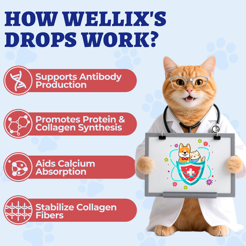 Wellix 4 fl oz Large Volume Liquid L-Lysine Drops for Cats & Dogs, Chicken | Immune & Respiratory Support with Taurine for Dogs & Cats - Sneezing, Runny Nose, Allergy Relief, Eye Care & Shiny Coat
