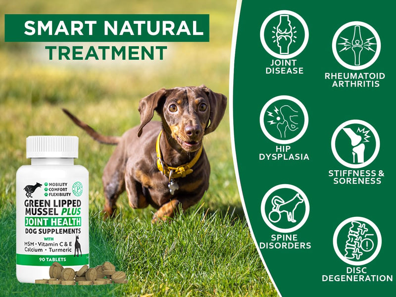 New Zealand - Green Lipped Mussel for Dogs - 1325mg 90 Caps - Hip & Joint Supplement for Dogs & Arthritis Relief for Dogs - GMO & Gluten Free - PawsPlanet Australia