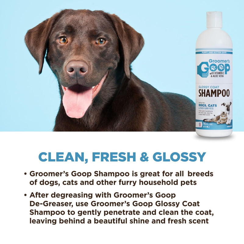 Groomer's Goop Glossy Coat Pet Shampoo - 16 oz Flip-Top Bottle - PawsPlanet Australia