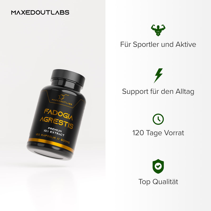 [Australia] - Maxedoutlabs - Fadogia Agrestis - (6000mg Fadogia - 10:1 formula) - 3 month supply - 600mg per capsule - One capsule per day - High dosage - Vegan | Alternative to Tongkat Ali capsules or Turkesterone 