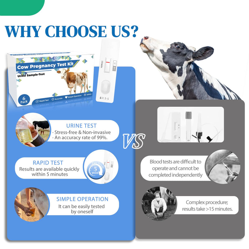 6-Pack Cow Pregnancy Test Kit - Early Urine Detection for Cattle, Get Fast 10-Minute Results, Essential Non-Invasive Monitoring Tool for Dairy Cows & Beef Herds