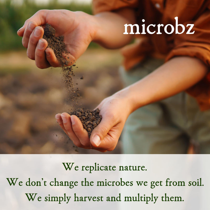 MICROBZ Breathe Liquid Probiotics for Gut Health – Award-Winning Probiotic Supplement with 15 Strains & Fermented Herbs for Respiratory Health – Gluten Free & Vegan Probiotic Drink – 31 Servings 7. Breathe