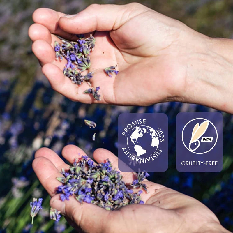 [Australia] - Wax Beads, 1lb Hard Wax Beans for Hair Removal Sensitive Skin with Lavender Formula Waxing Beads for Full Body Brazilian Bikini Face Eyebrow at Home Wax Refill for Women Men Purple-Lavender 