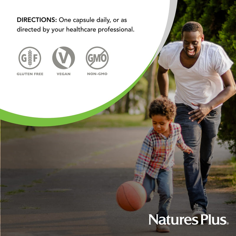 NaturesPlus Brainceutix PQQ - 60 Vegan Capsules - Supplement for Memory, Clarity & Brain Power - Enhanced Energy, Anti-Aging - Pyrroloquinoline Quinone (PQQ) - Vegetarian, Gluten-Free - 30 Servings