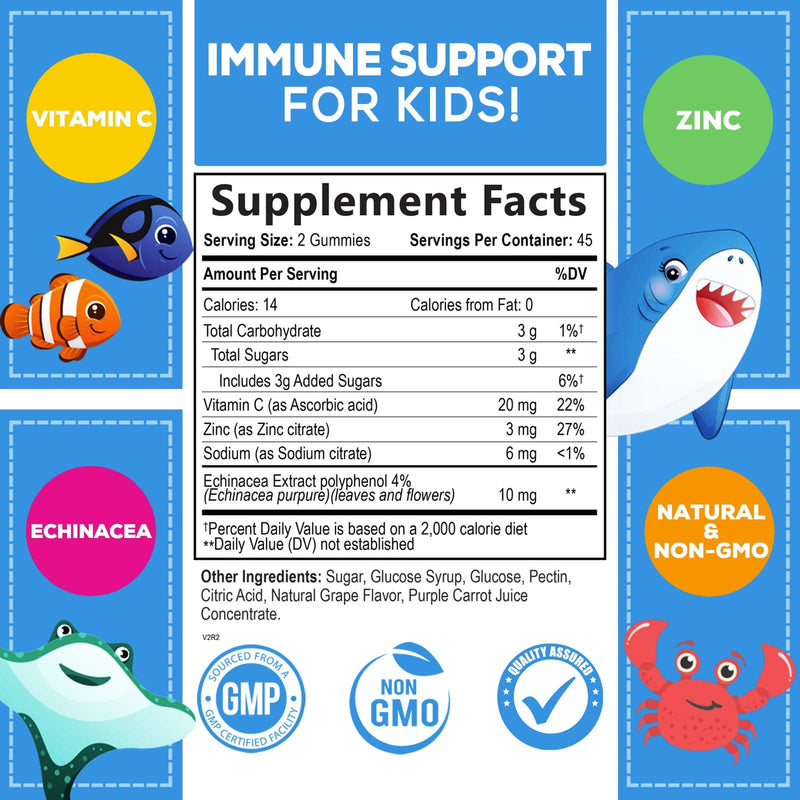 [Australia] - Kids Immune Support Gummies with Vitamin C, Zinc & Echinacea, Gluten Free & Non-GMO Chewable Immune Support for Kids Gummy, Daily Childrens Immune Support Vitamins, Vegan, Berry Flavor - 90 Gummies 