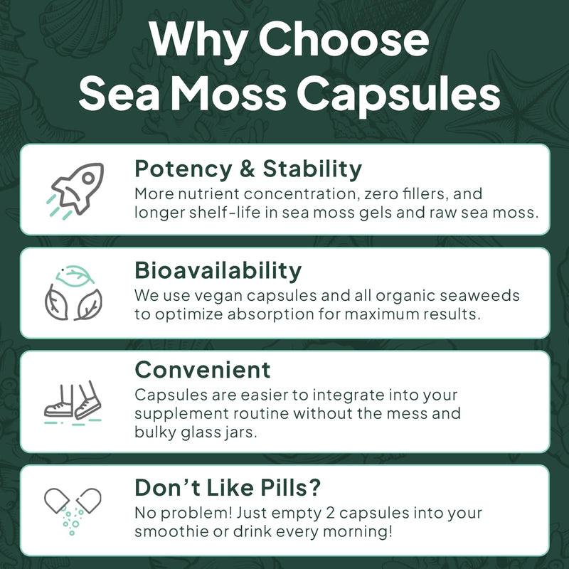 [Australia] - Wild Sea Moss Capsules - 100% Organic Irish Sea Moss with Organic Chlorella, Bladderwrack and Vitamin D for Energy, Lung Health and Thyroid Support for Women and Men - 60 Capsules 