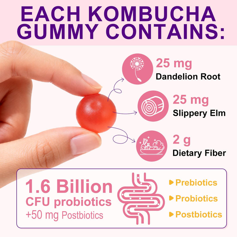 Probiotic Kombucha Gummies 60 Count with Prebiotics, Probiotics, and B Vitamins, Natural Mixed Berry Flavor, Probiotics for Women & Men