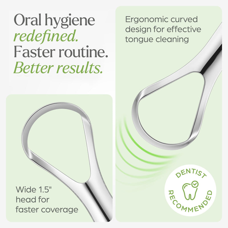[Australia] - Tongue Scraper for Adults with Holder (2 Pack) - Metal Tongue Scraper for Tongue Cleaning and Reducing Bad Breath - Stainless Steel Tongue Scraper for Adults, Tongue Cleaner for Adults 
