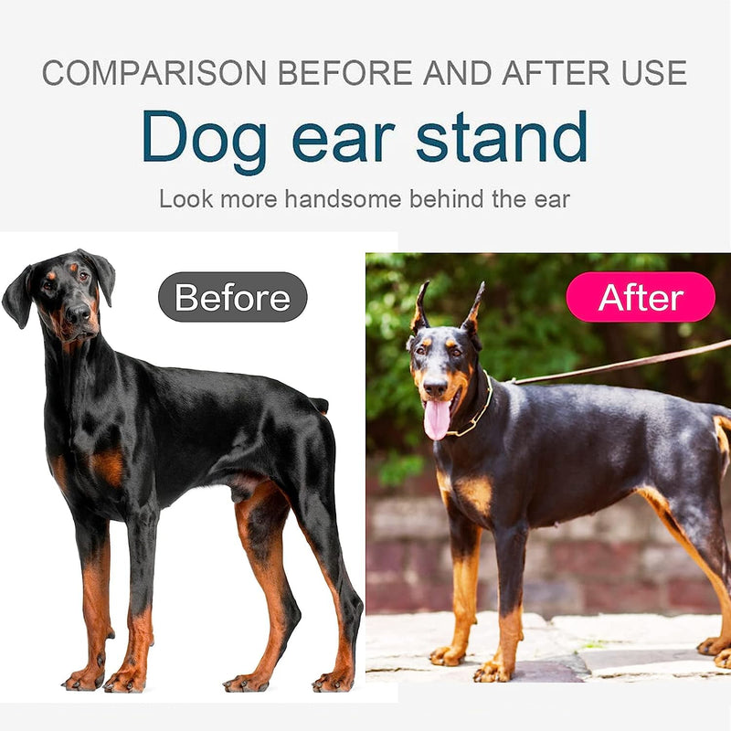 Pacify Doberman Dog Ear Posting Kit, Dog Ear Stand Up Support Tool with Tape Doberman Pinscher Dogs - PawsPlanet Australia