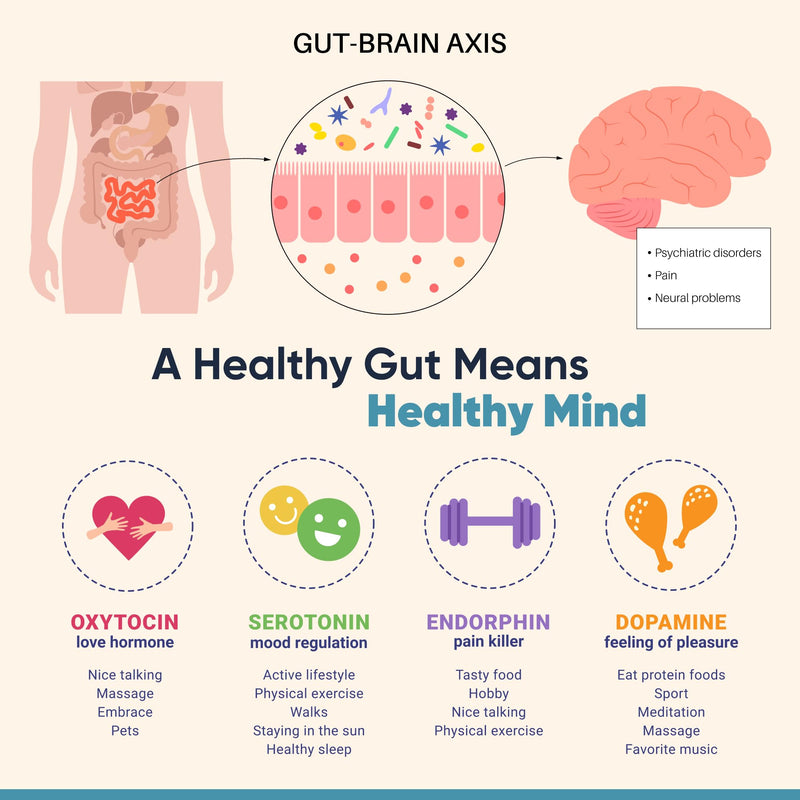Probiotic Supplement, 20 Billion CFU, 30 Vegan Capsules, Live Bacterial Cultures for Gut Health, with Lactobacillus & Bifidobacterium Strains, Daily Gut-Brain Axis Support, Non-GMO