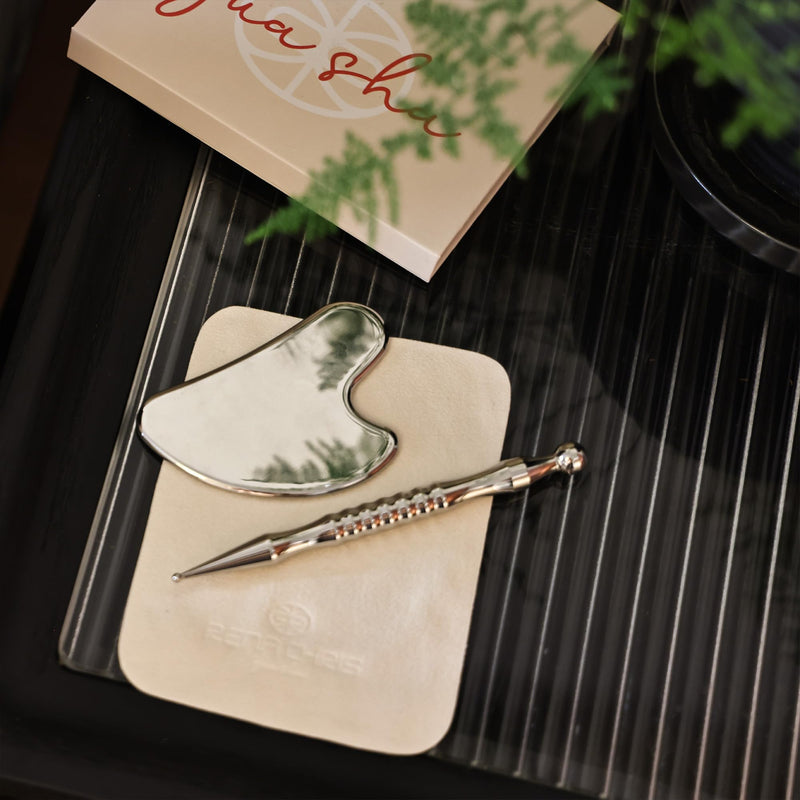 [Australia] - Rena Chris Stainless Steel Gua Sha and Acupuncture Pen, Manual Reflexology Tools for Muscle Tension and Pain Relief, Acupressure Pen and Gua Sha Set with Reflexology Chart, Easy to Use 
