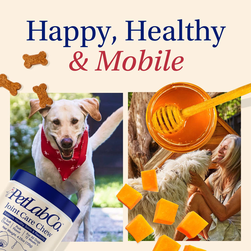 PetLab Co – Mobility & Wellness Bundle: Soft Chew Joint Supplement for Dogs to Support Dog Hip & Joint Care & Mobility 30 Count Plus Chewable Multivitamins for Dogs to Support Overall Health 30 Count - PawsPlanet Australia