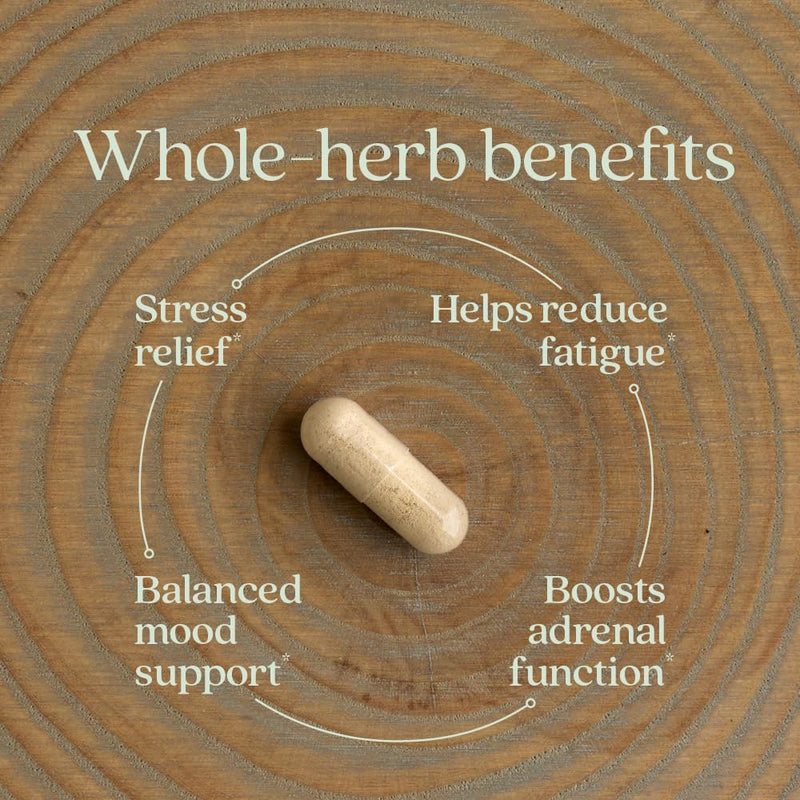 New Chapter Organic Ashwagandha Supplement, One Capsule a Day of Adaptogens for Stress Relief, Mood Support, & Energy, Vegan, 60 Count