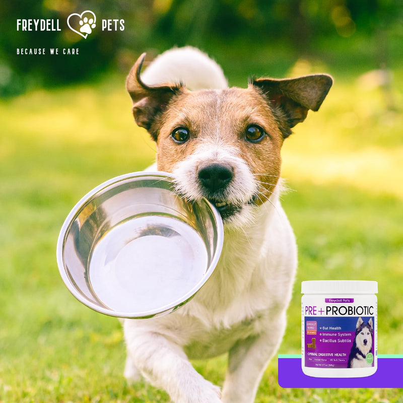 FREYDELL Pets Probiotics for Dogs Dog Upset Stomach Relief Dog probiotic, Fiber Supplement for Dogs, Yeast Infection Treatment for Dogs & Dog Diarrhea Medication, Probiotic for Dogs of All Ages. - PawsPlanet Australia