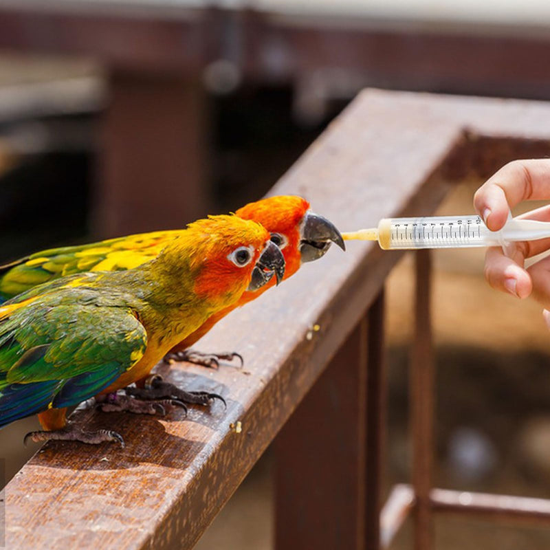 Baby Bird Feeding Syringe Set, Pet Parrot Milk Feeding Syringe with Tubes, Parrot Feeding Syringe Measuring Syringe Tools for Feeding Pets Scientific Industrial Labs… (12ml +20ml syringe+50ml Measuring Cup) 12ml +20ml syringe+50ml Measuring Cup - PawsPlanet Australia
