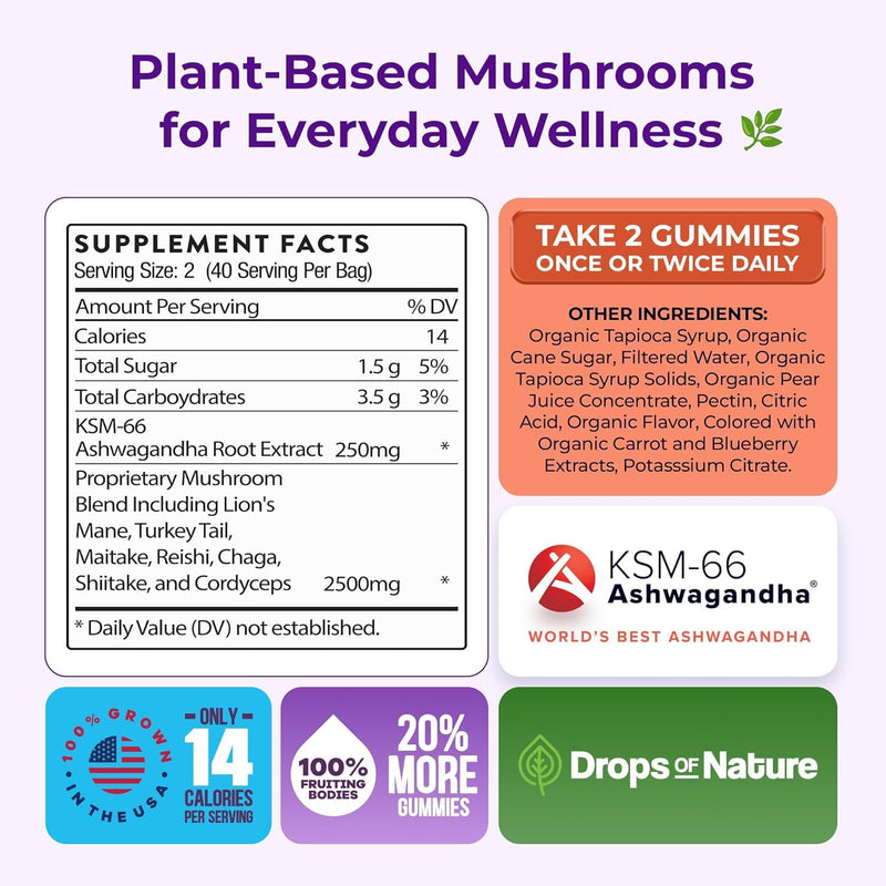 80 Assorted Fruit Flavored Gummies Strengthens The Immune System, Improves Concentration and Promotes Relaxation