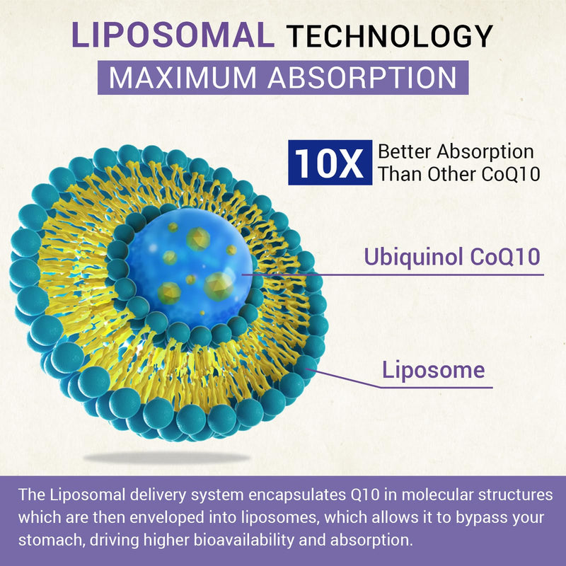 [Australia] - Liposomal Ubiquinol CoQ10 800 MG Softgel, High Absorption CoQ10 Ubiquinol Supplement, Active Coenzyme Q10 800mg, Powerful Antioxidant for Heart & Brain Function, Energy Production, 120 Vegan Softgels 60 Count (Pack of 2) 