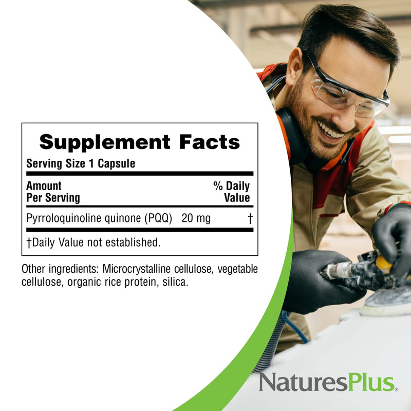 NaturesPlus Brainceutix PQQ - 60 Vegan Capsules - Supplement for Memory, Clarity & Brain Power - Enhanced Energy, Anti-Aging - Pyrroloquinoline Quinone (PQQ) - Vegetarian, Gluten-Free - 30 Servings