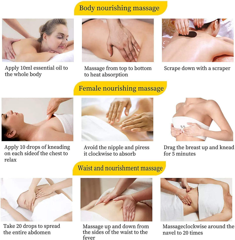 [Australia] - 3 Pack Ginger Oil, Ginger Oil Lymphatic Drainage Massage,Belly Drainage Ginger Oil, Ginger Massage Oil Lymphatic Drainage,100% Natural Massage Oil for Massage Therapy With Arnica Extract,Vitamin E Oil 