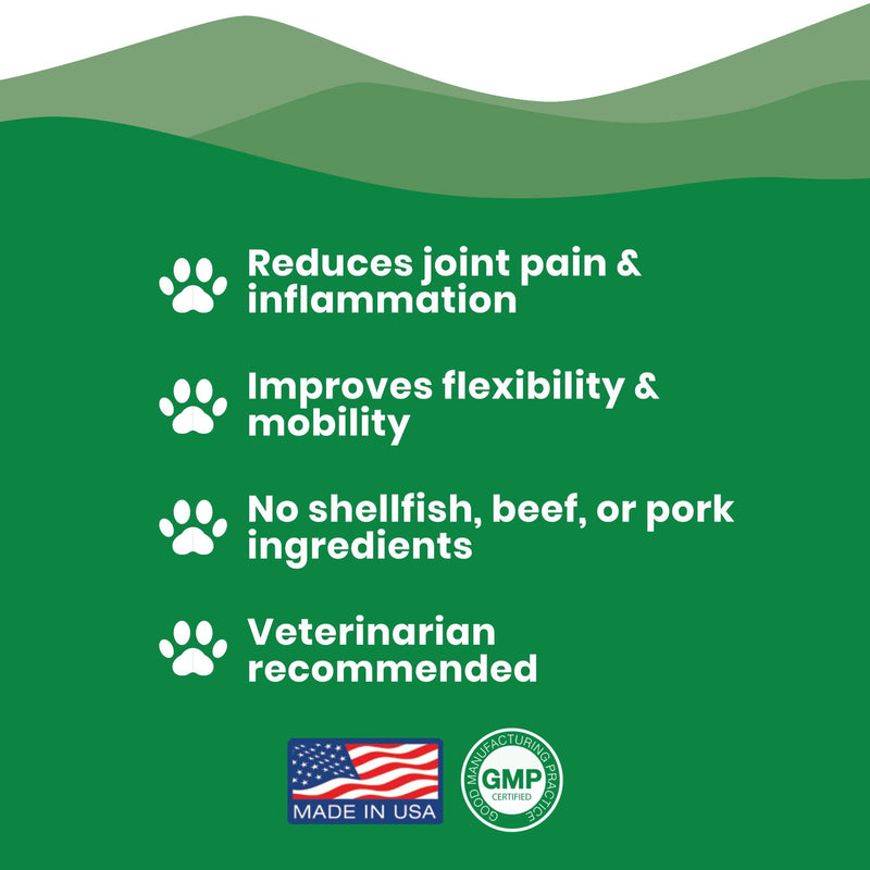 Vegetarian Glucosamine for Dogs - Vegetarian Glucosamine Without Shellfish - Msm Supplement for Pain - Vet Recommended Glucosamine Vegetarian - Arthritis Medicine & Glucosamine with Msm (16 oz) - PawsPlanet Australia