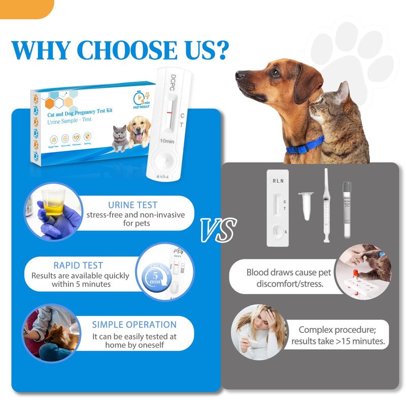 Dog & Cat Pregnancy Test Kit – Home Urine Test, Fast 5-Minute Results, Easy-to-Use for Your Pet’s Well-Being 1 Pack
