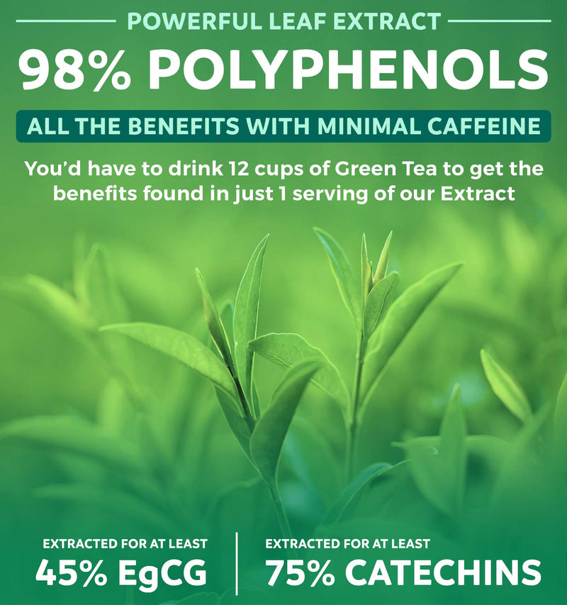 [Australia] - Green Tea Extract Capsules 98% with EGCG - 120 Count (Non-GMO) for Natural Metabolism Boost - Leaf Polyphenol Catechins - Antioxidant Supplement - Green Tea Pills - 1000mg (500mg per Capsule) 120 Count (Pack of 1) 