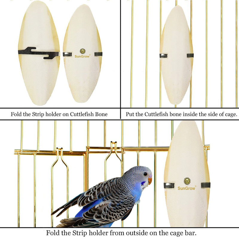 SunGrow 4 Pack Large 6 inch Cuttlefish Bones for Cockatiels, Turtles, Shrimp, Dog Calcium Supplement, Cuttlebone Cage Holder Included 4 Pieces - PawsPlanet Australia