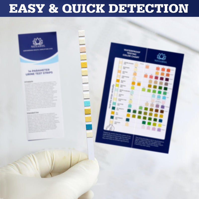 Urine Test Strips for Urinalysis Full Panel - 14 Parameter Urine Test Strips - Urine Dipsticks Urinalysis Multistix with Transfer Pipette and Resealable Foil Bags - 100 Count Home UTI Test Strips