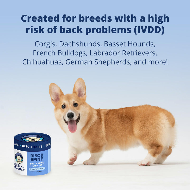 Under The Weather Pet Disc & Spine Health Chews for Dogs | Vet Formulated Dog Chews Spinal Disc Support Supplement | Ideal for Pugs French Bulldogs Dachshunds & Long-Backed Breeds with IVDD | 60 Count - PawsPlanet Australia