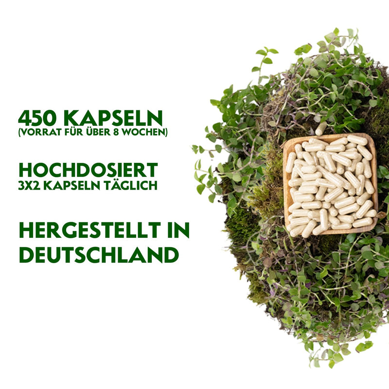 [Australia] - RheinNatur organic psyllium husk capsules - 450 pieces high dosage (3,000 mg per serving) - Made in Germany - fiber capsules - Psyllium Husk - psyllium capsules - Supports digestion 