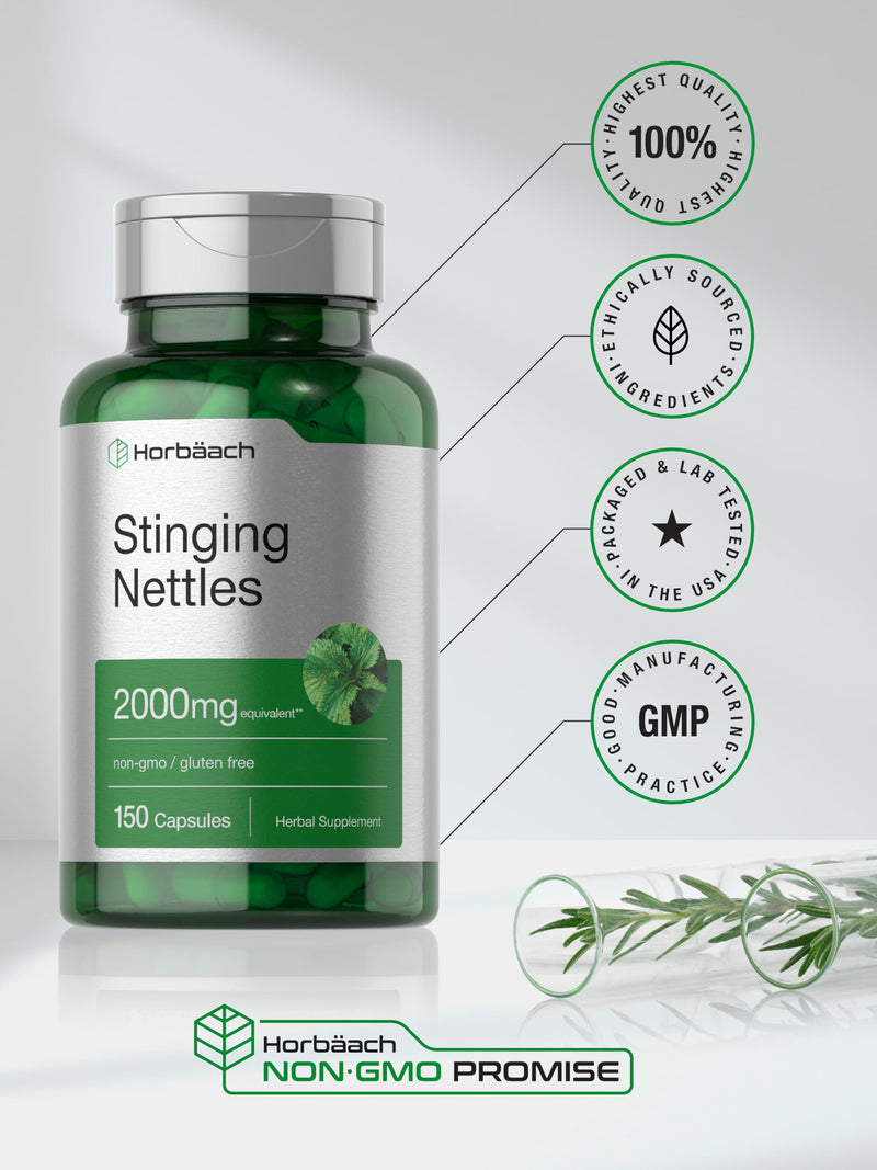 Horbäach Stinging Nettle Capsules 2000mg | 150 Count | Herbal Leaf Extract Supplement | Non-GMO, Gluten Free