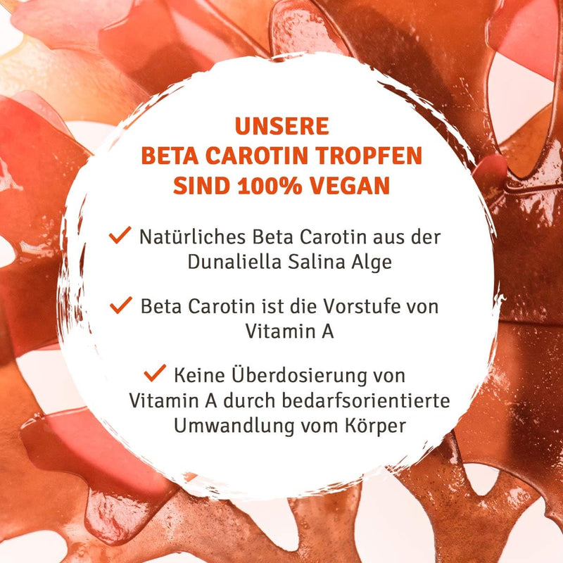 [Australia] - InnoNature Beta Carotene Drops | from the alga Dunaliella Salina | 30ml, high dose with 15 mg pure beta carotene, 2,120 µg RE vitamin A per 10 drops 
