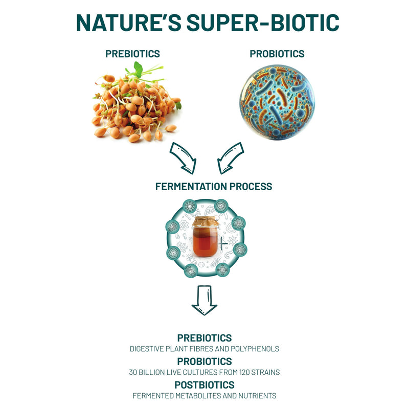 Living Nutrition - Organic Fermented Symbiotic (60 Capsules) - A Highly Concentrated wholefood Blend of prebiotics, probiotics and postbiotics