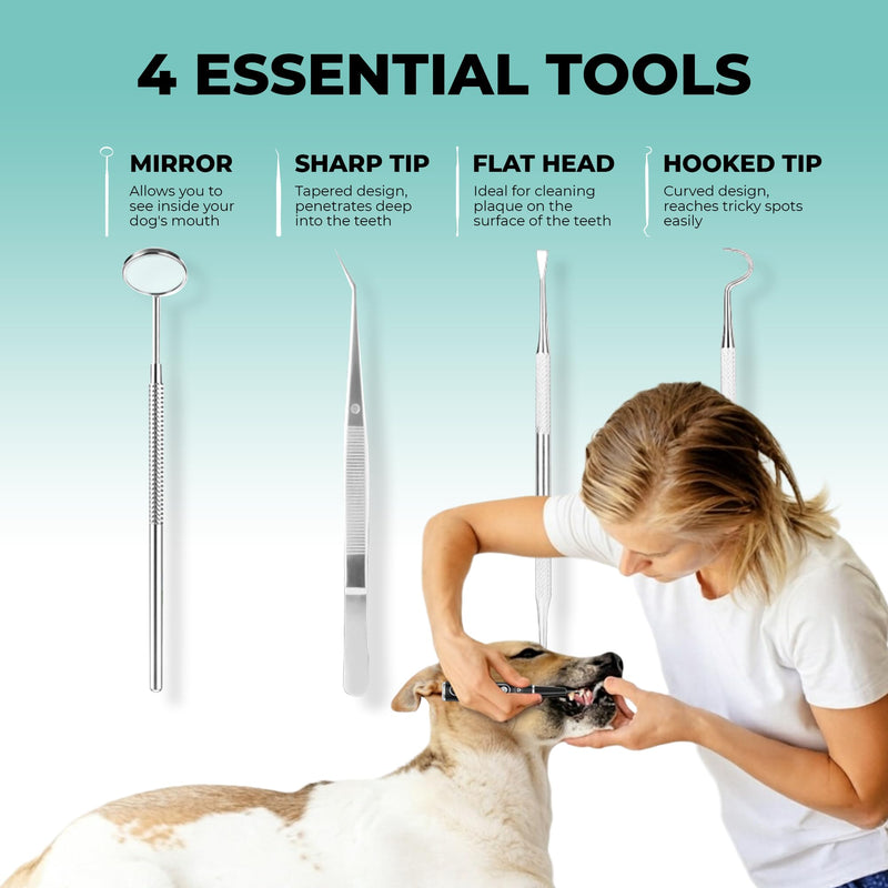 BRIGHT BITE™ | Ultrasonic Plaque Remover for Teeth | Dog Toothbrush; Cat Toothbrush | Quiet Tartar Remover | Dog Accessories | Teeth Cleaning Tools| Doggie Dental Scaler | Dental Tools | USB-C