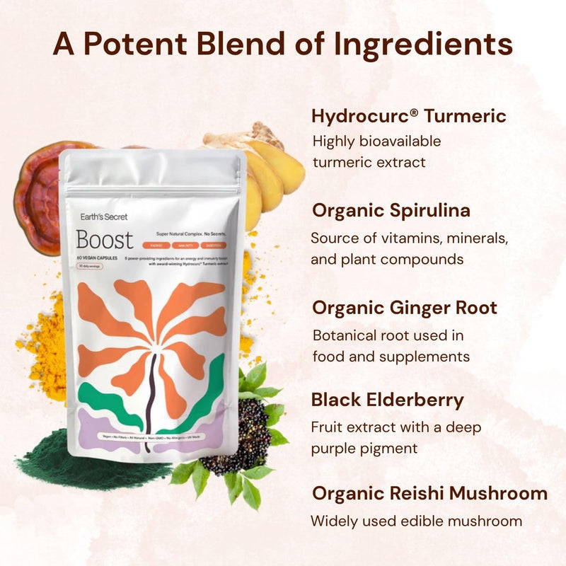 Earth's Secret Organic Turmeric Capsules - Extracted with Hydrocurc Turmeric, Spirulina, Reishi Mushroom, Black Elderberry & Ginger Root - Award Winning Supplement for Men & Women - 60 Vegan Capsules