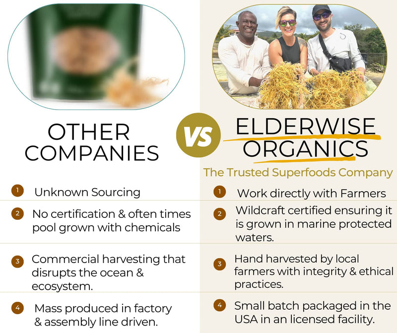 Elderwise Golden Sea Moss, Raw Wildcrafted Gracilaria, Makes 24oz Gel | Sun-Dried Sea Moss with no chemicals used or Flavors; a Simple Mineral & Vitamin Rich Choice for home kitchens