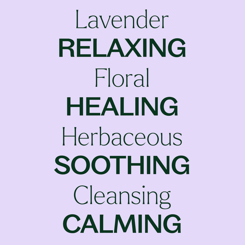 [Australia] - Plant Therapy Organic Lavender Essential Oil 100% Pure, USDA Certified Organic, Undiluted, Natural Aromatherapy, Therapeutic Grade 10 mL (1/3 oz) 0.33 Fl Oz (Pack of 1) 