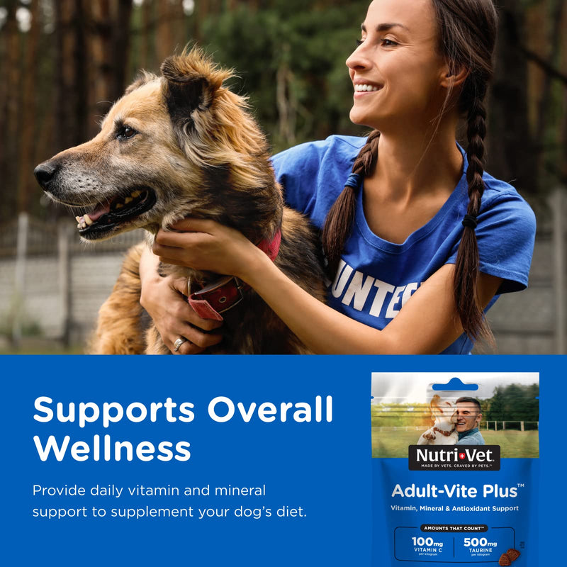 Nutri-Vet Adult-Vite Plus Soft Chews for Dogs - Formulated with Vitamins and Minerals - Supports Everyday Health - 70 Count - 6 Ounces - PawsPlanet Australia