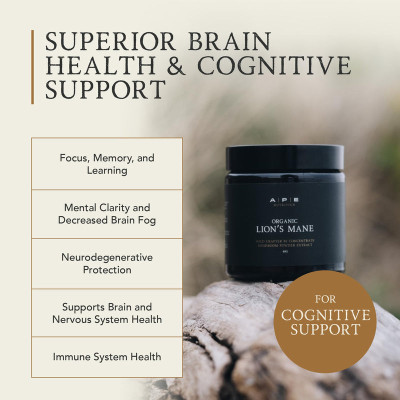 APE Nutrition Organic Lion’s Mane Mushroom Extract Powder - Certified Organic & Wild Crafted, Improves Memory & Focus, UK Supplements, Pure Concentrated Extract, 40G (40-80 Servings) Lion's Mane