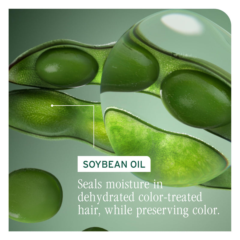 Biolage Color Last Shampoo – For Color-Treated Hair | Soybean oil, stearic acid, vegan, paraben-free, mineral oil-free, cleanses, hydrates 13.5 Fl Oz (Pack of 1)