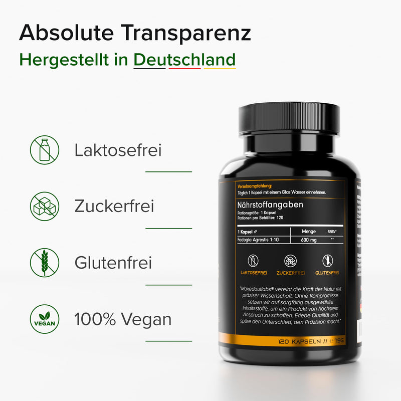 [Australia] - Maxedoutlabs - Fadogia Agrestis - (6000mg Fadogia - 10:1 formula) - 3 month supply - 600mg per capsule - One capsule per day - High dosage - Vegan | Alternative to Tongkat Ali capsules or Turkesterone 